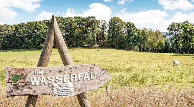 Apartment in Wasserfall