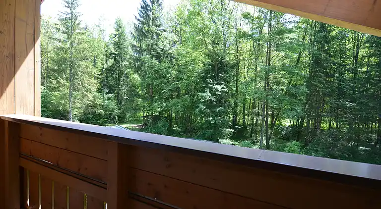 Apartment in Berchtesgaden