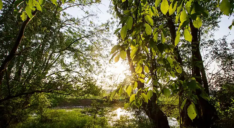 Holiday home in Auge