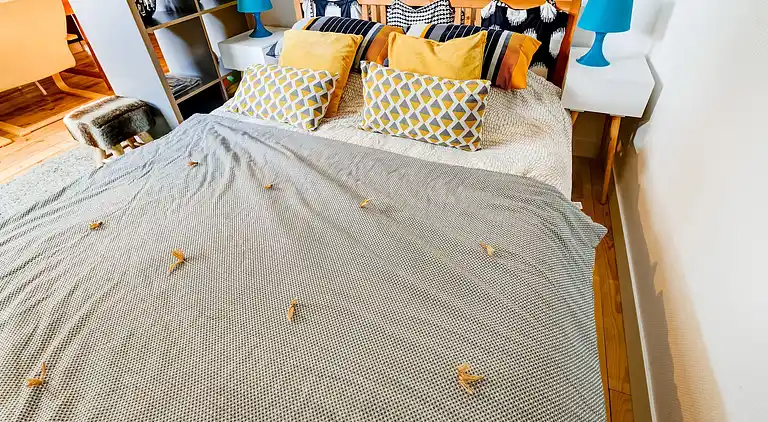 Ferienwohnung in Isigny-sur-Mer