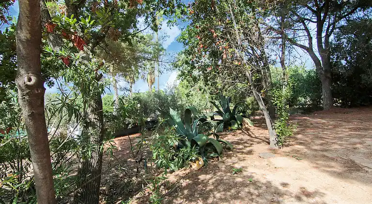 Holiday home in Faro Capo Vaticano