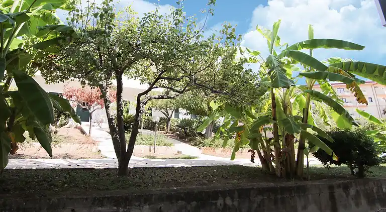 Holiday home in Faro Capo Vaticano