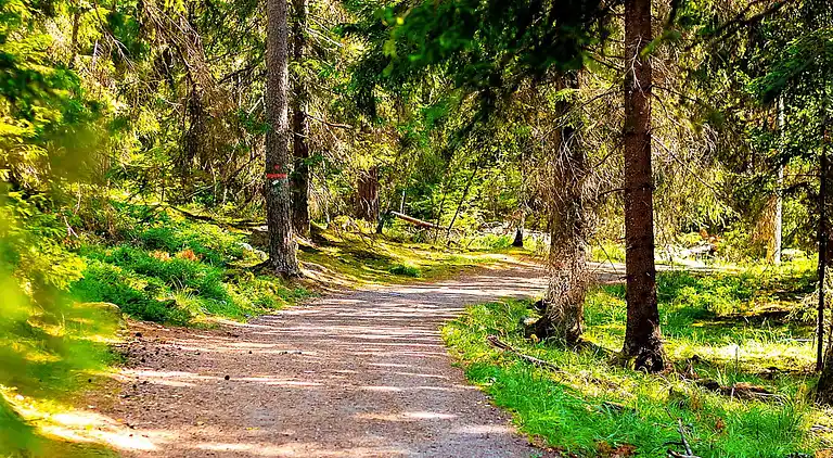 Vakantiehuis in Rättvik V