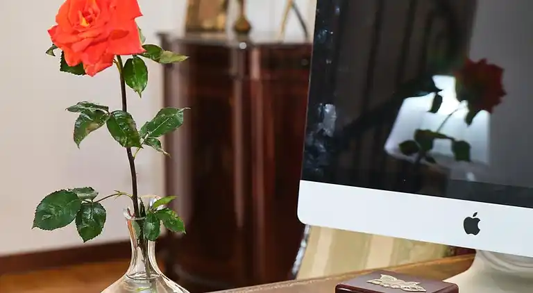 APARTMENT CASA DEL CORSO