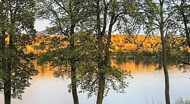 Ferienhaus in Gullspång S