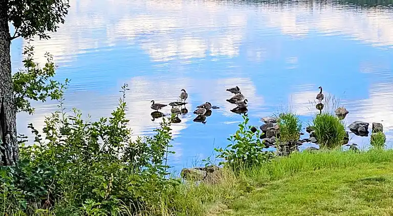 Holiday home in Gullspång S