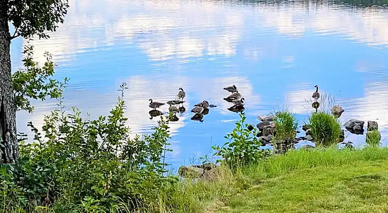 Casa de vacaciones en Gullspång S