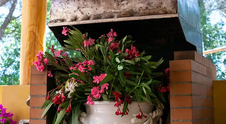 TERRE DI BEA  COTTAGE NEL CUORE DEL PARCO DELLE MADONIE 