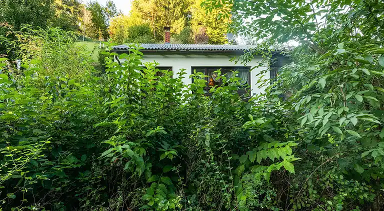 Bungalow in Kaumberg