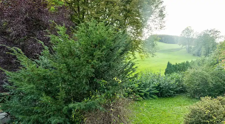 Bungalow in Kaumberg