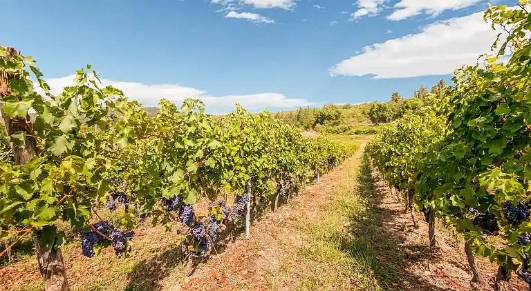 Holiday home in Pontassieve