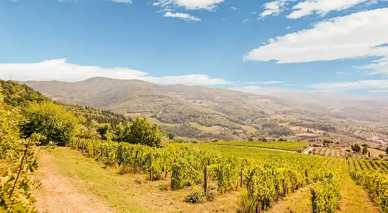 Holiday home in Pontassieve