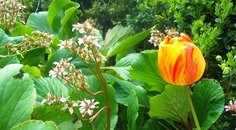 Ferielejlighed i Idro