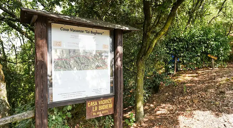 Maison de vacances au Poggio alla Baghera