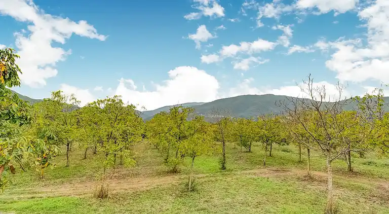 Sommerhus i Monterchi