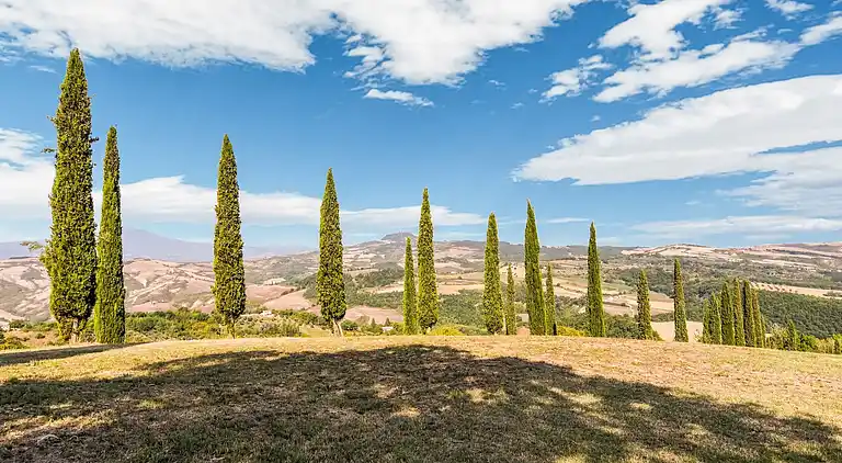 Farm house in San Casciano dei Bagni