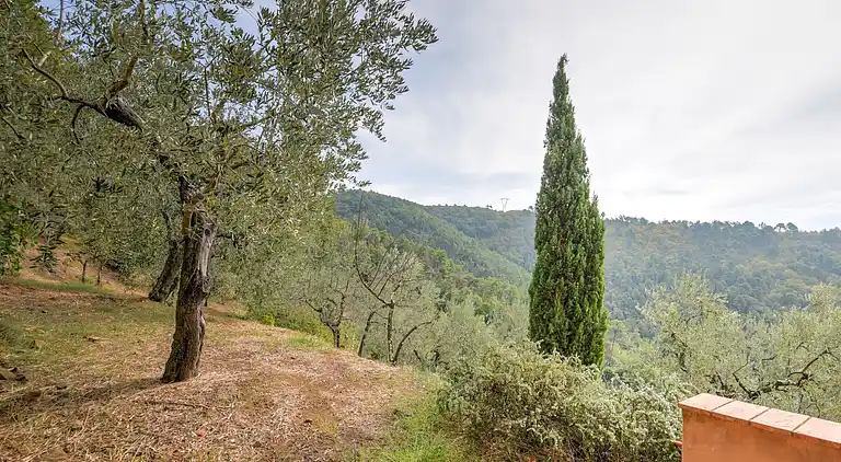 Sommerhus i Poggio alla Baghera
