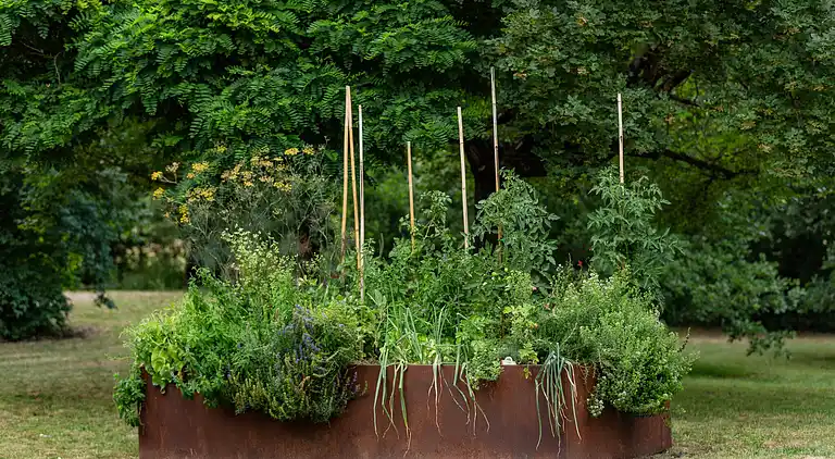 Villa i Marciano della Chiana