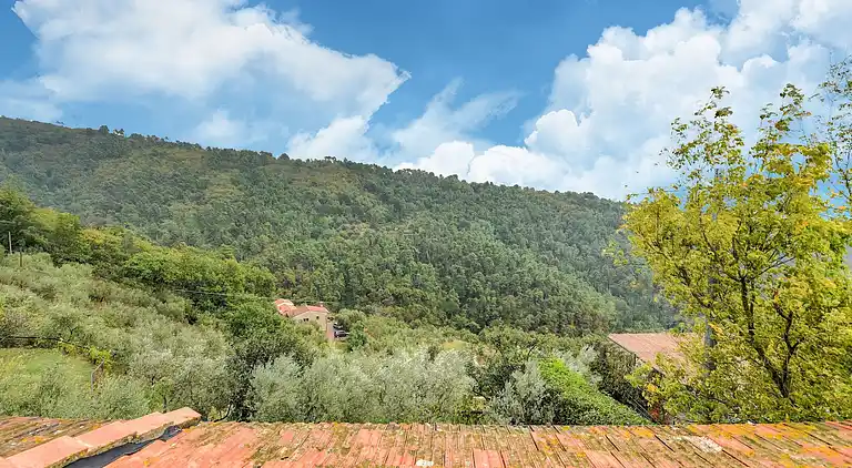 Feriebolig i Poggio alla Baghera