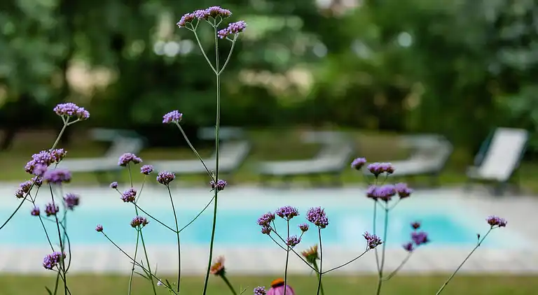 Villa i Marciano della Chiana