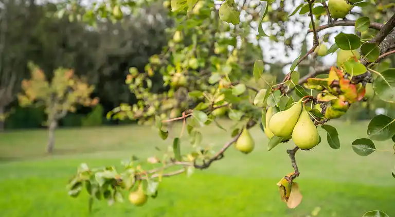 Casa señorial en Reggello