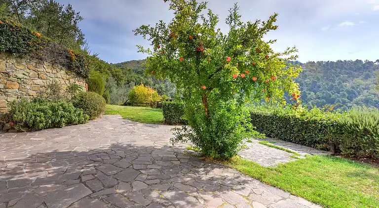 Ferienhaus in Poggio alla Baghera