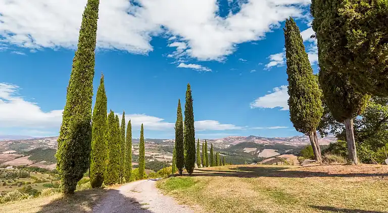Farm house in San Casciano dei Bagni
