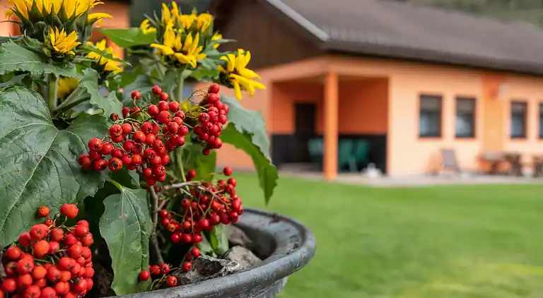 Bungalow in Glödnitz