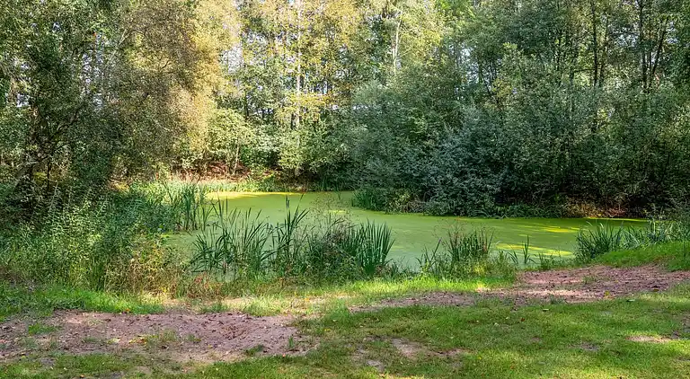 Vakantiehuis in Rheezerveen