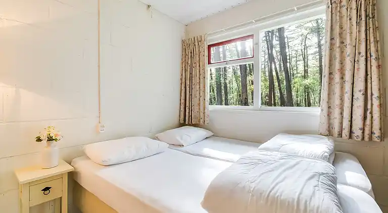 Vakantiehuis in Rheezerveen