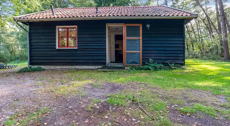 Vakantiehuis in Rheezerveen