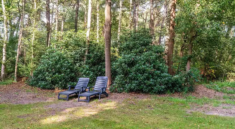 Vakantiehuis in Rheezerveen