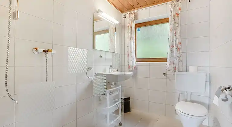 Hytte i Stronach-Säge