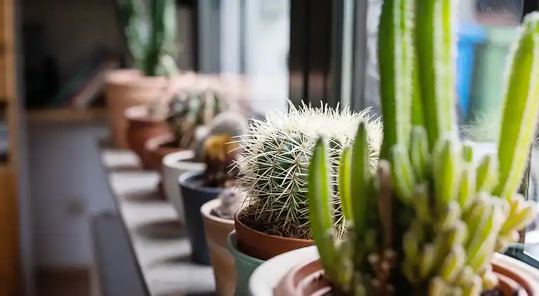 Holiday home in Elpe