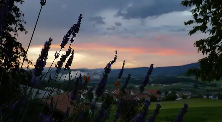 Ferielejlighed i Dorn