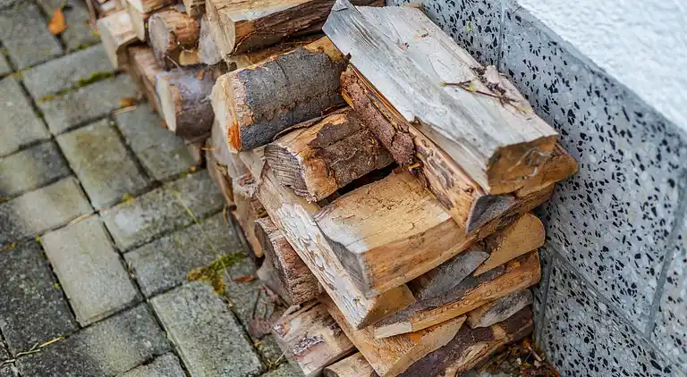 Sommerhus i Schönbrunn