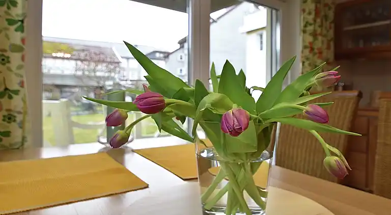 Ferienwohnung in Möhrenbach