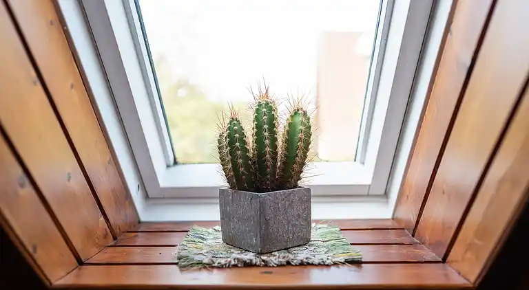 Ferielejlighed i Fischbach