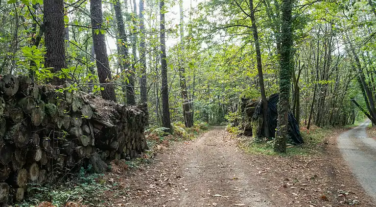 Holiday home in Saint-Maime-de-Péreyrol