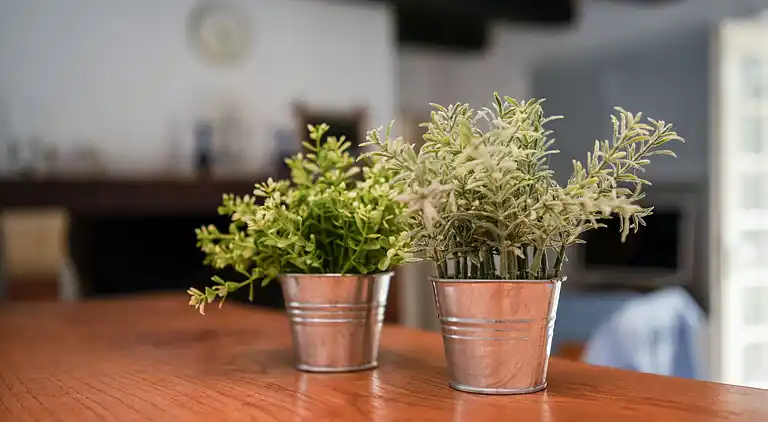 Holiday home in Saint-Maime-de-Péreyrol