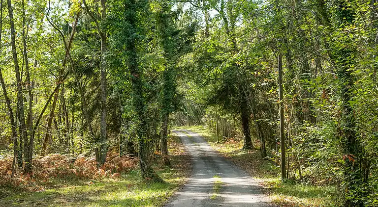 Holiday home in Saint-Maime-de-Péreyrol