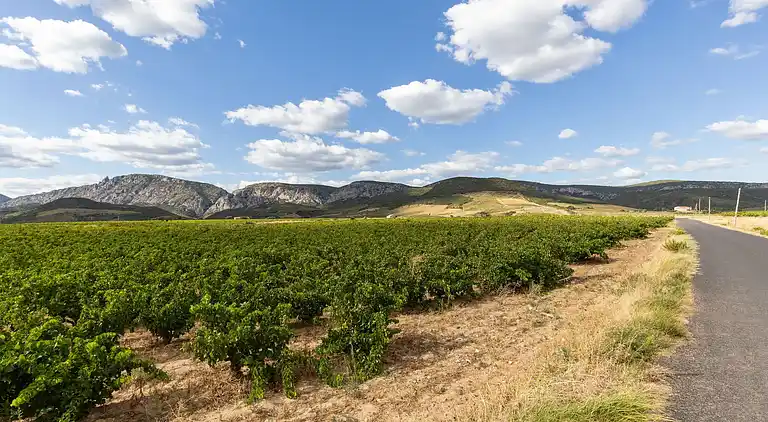 Sommerhus i Occitanie