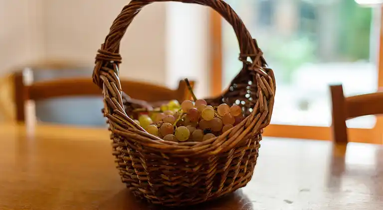 Sommerhus i Occitanie