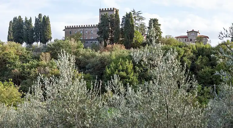 Sommerhus i Figline e Incisa Valdarno