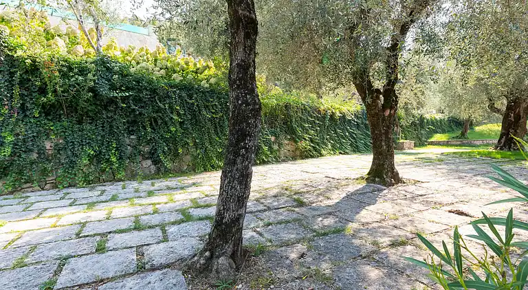 Semesterbostad i Torri del Benaco