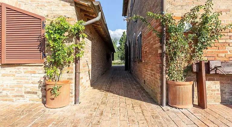 Farm house in Buonconvento