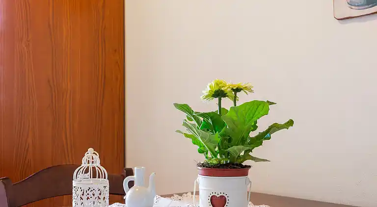 Farm house in Buonconvento