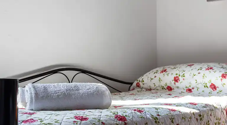 Farm house in Buonconvento