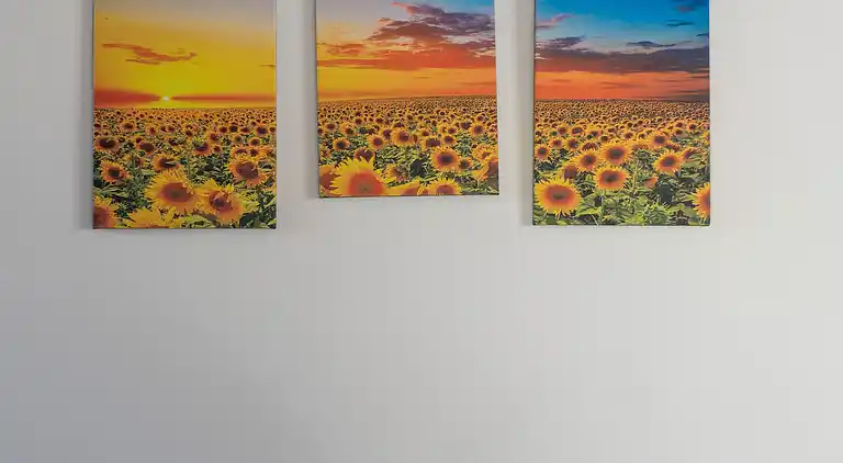 Farm house in Buonconvento