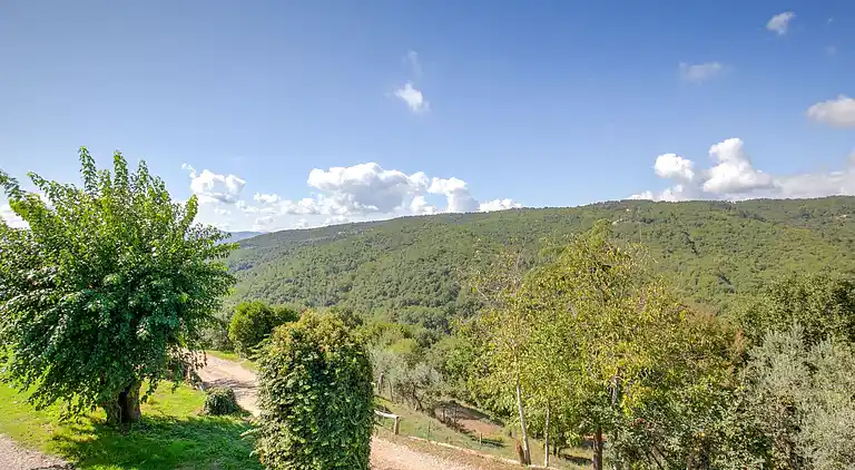 Farm house in Civitella in Val di Chiana